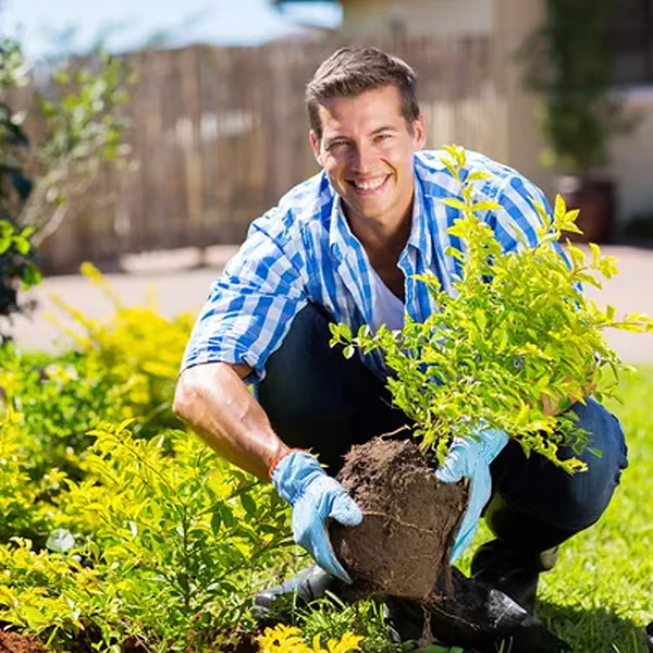 Buy 1 Get 1 Free⚡ Flash Sale🌱 Blooming Soil, Effortlessly Natural – Soil Activator
