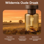 🚗Auto-ontgeurder op basis van plantaardige aromatherapie