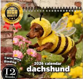 🏎️📅F1 Scrapbook Race Calendar 2026 — De ultieme wandkalender voor racefans