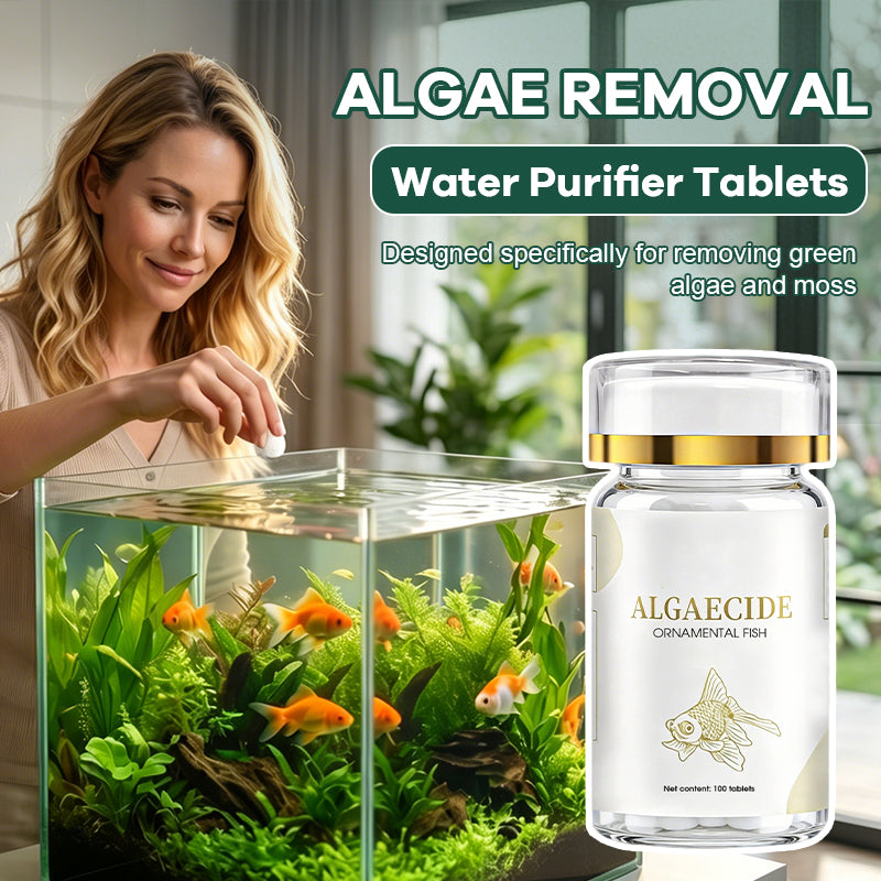 Algae Removal Water Purifier Tablets for Green & Moss Cleaning 💧🌿✨
