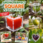 Creative Fruit Shaping Molds🍐 — Transform Your Garden into a Living Gallery of Shapes