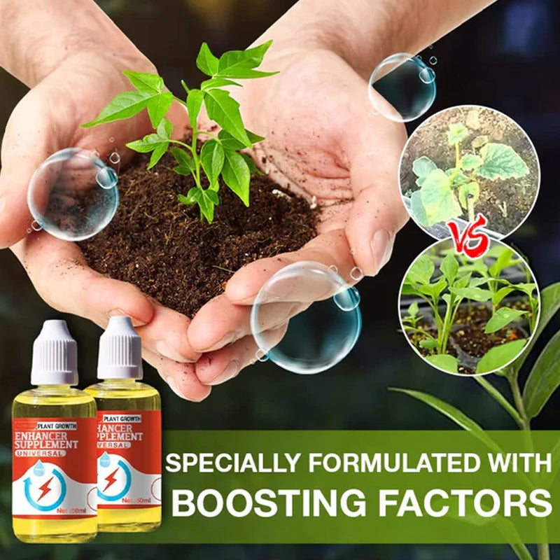 💥Koop 1 en krijg 1 gratis🌼Geconcentreerde universele groeibevorderaar voor bloemen en groene planten🌱