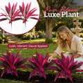 Today only: Buy 5, get 5 free⚡Artificial Brazilian Wood Dragon Blood Cordyceps Tree🌿