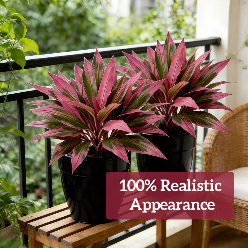 Today only: Buy 5, get 5 free⚡Artificial Brazilian Wood Dragon Blood Cordyceps Tree🌿