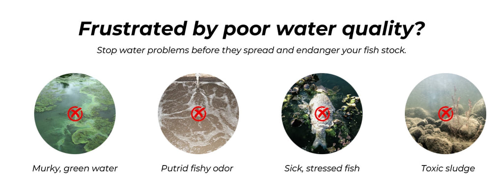 Deodorizing & Disinfecting Aquarium Water Purifying Effervescent Tablets💧
