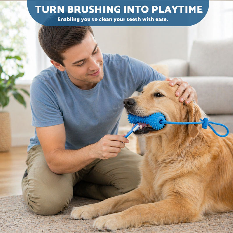 Pet Teeth-Cleaning Chew Sticks🐶🐕