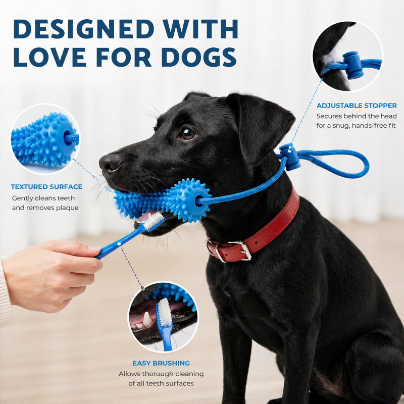 Pet Teeth-Cleaning Chew Sticks🐶🐕