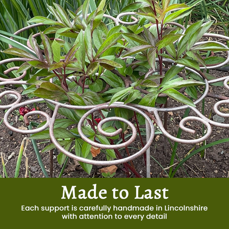 ⏰2-hour half-price sale🌿Plant Art Flower Support Stand