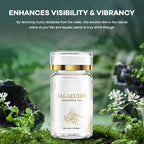 Algae Removal Water Purifier Tablets for Green & Moss Cleaning 💧🌿✨
