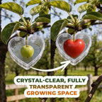 Creative Fruit Shaping Molds🍐 — Transform Your Garden into a Living Gallery of Shapes