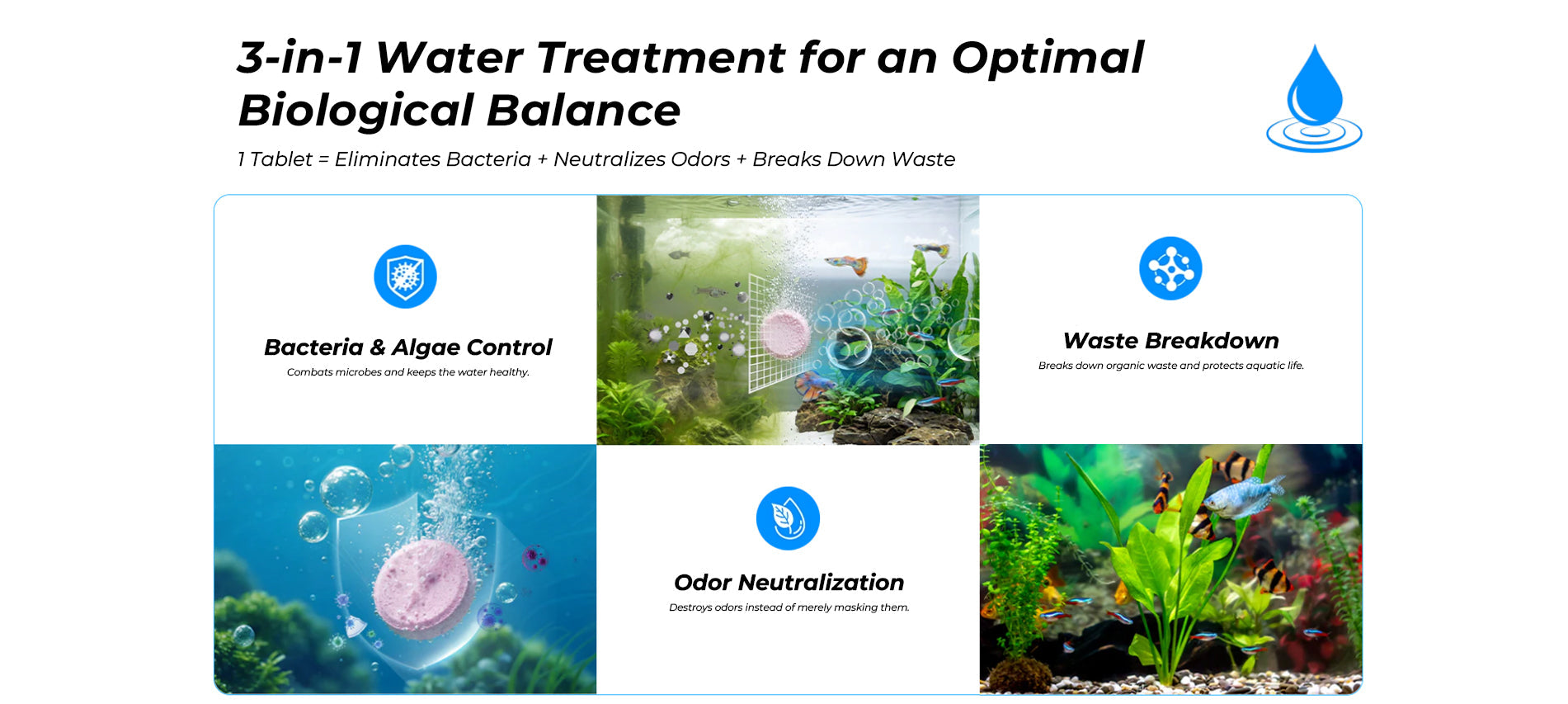 Deodorizing & Disinfecting Aquarium Water Purifying Effervescent Tablets💧