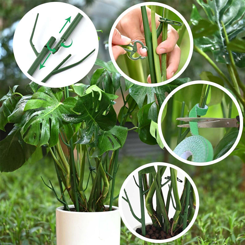 ✨ Tree branch type plant gardening vine support pole🌿