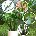 ✨ Tree branch type plant gardening vine support pole🌿