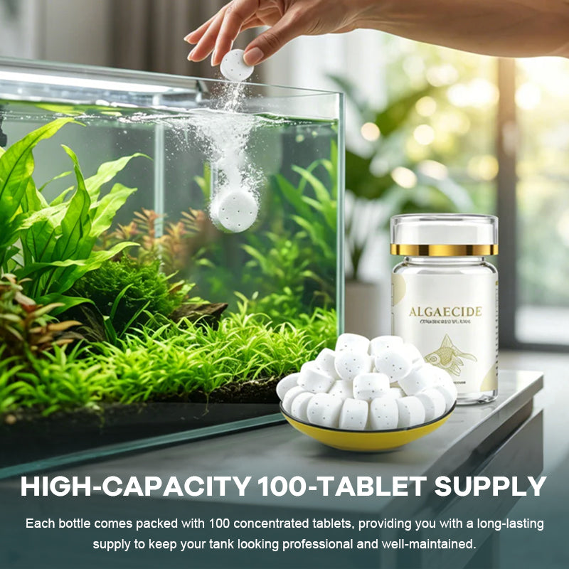 Algae Removal Water Purifier Tablets for Green & Moss Cleaning 💧🌿✨