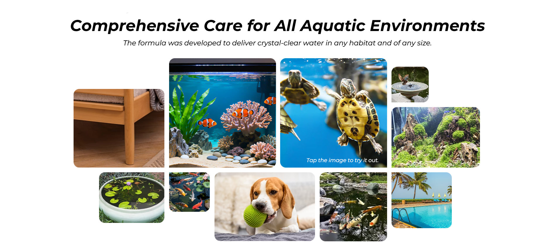 Deodorizing & Disinfecting Aquarium Water Purifying Effervescent Tablets💧