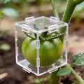 Creative Fruit Shaping Molds🍐 — Transform Your Garden into a Living Gallery of Shapes