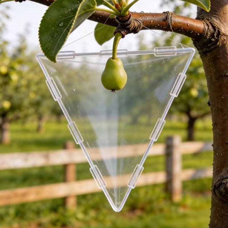 Creative Fruit Shaping Molds🍐 — Transform Your Garden into a Living Gallery of Shapes