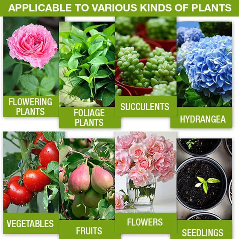 💥Koop 1 en krijg 1 gratis🌼Geconcentreerde universele groeibevorderaar voor bloemen en groene planten🌱