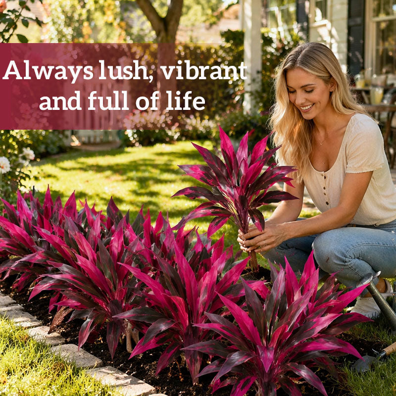 Today only: Buy 5, get 5 free⚡Artificial Brazilian Wood Dragon Blood Cordyceps Tree🌿