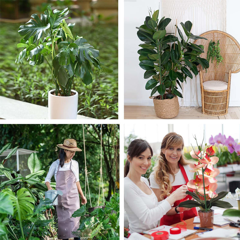 ✨ Tree branch type plant gardening vine support pole🌿