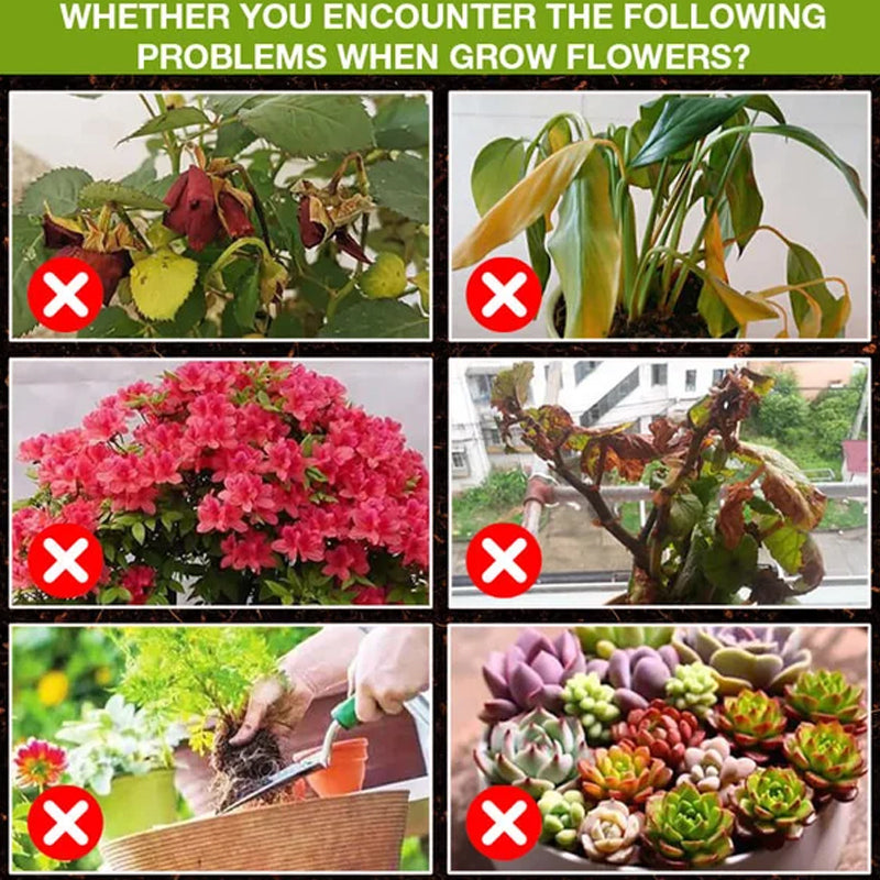 💥Koop 1 en krijg 1 gratis🌼Geconcentreerde universele groeibevorderaar voor bloemen en groene planten🌱