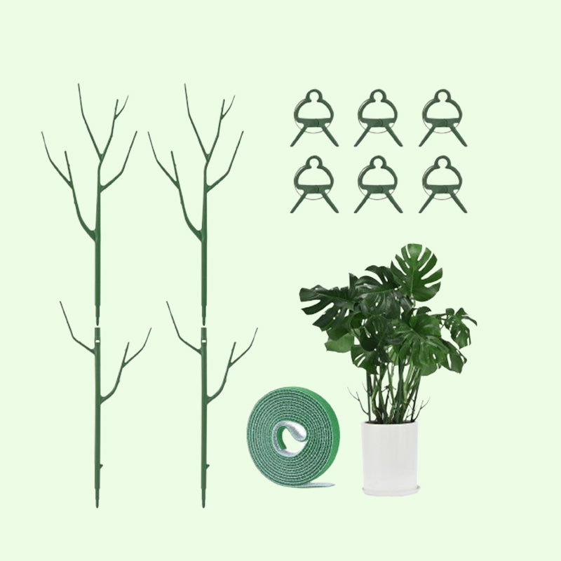 ✨ Tree branch type plant gardening vine support pole🌿