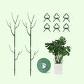 ✨ Tree branch type plant gardening vine support pole🌿