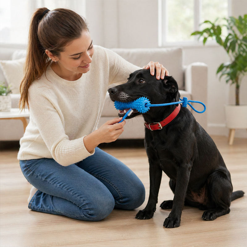 Pet Teeth-Cleaning Chew Sticks🐶🐕