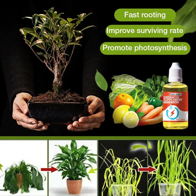 💥Koop 1 en krijg 1 gratis🌼Geconcentreerde universele groeibevorderaar voor bloemen en groene planten🌱