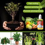 💥Koop 1 en krijg 1 gratis🌼Geconcentreerde universele groeibevorderaar voor bloemen en groene planten🌱