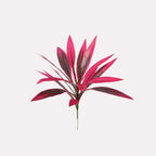 Today only: Buy 5, get 5 free⚡Artificial Brazilian Wood Dragon Blood Cordyceps Tree🌿