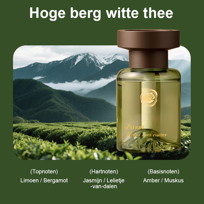 🚗Auto-ontgeurder op basis van plantaardige aromatherapie