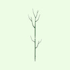 ✨ Tree branch type plant gardening vine support pole🌿