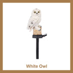 Solar Owl Courtyard Lawn Garden Decorative Light🦉✨