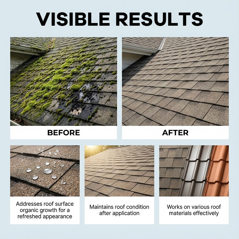 🏠 Roof Moss Remover