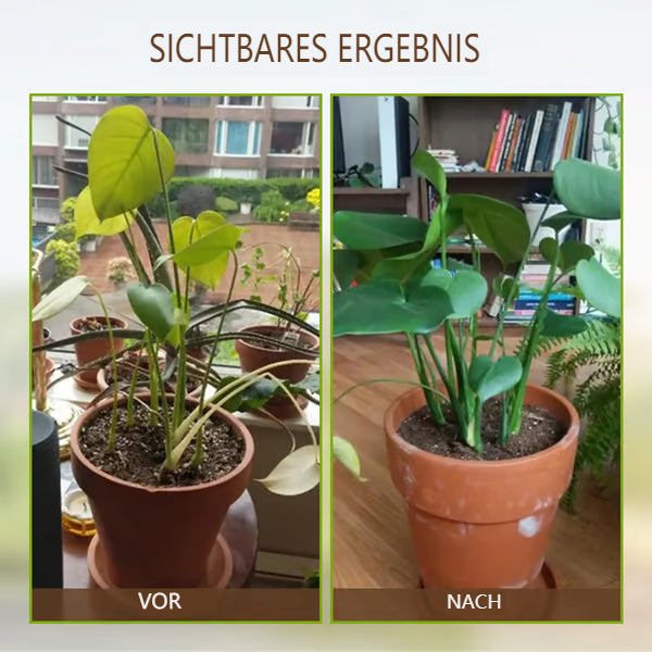 Buy 1 Get 1 Free⚡ Flash Sale🌱 Blooming Soil, Effortlessly Natural – Soil Activator