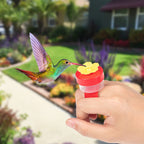 🐦Buy 1 Get 1 Free💍 Hummingbird Feeder Ring