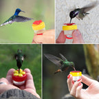 🐦Buy 1 Get 1 Free💍 Hummingbird Feeder Ring