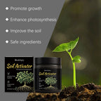 🌱 Universal Plant Root Activator & Soil Conditioner 💪