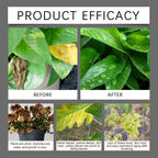 🌱 Universal Plant Root Activator & Soil Conditioner 💪