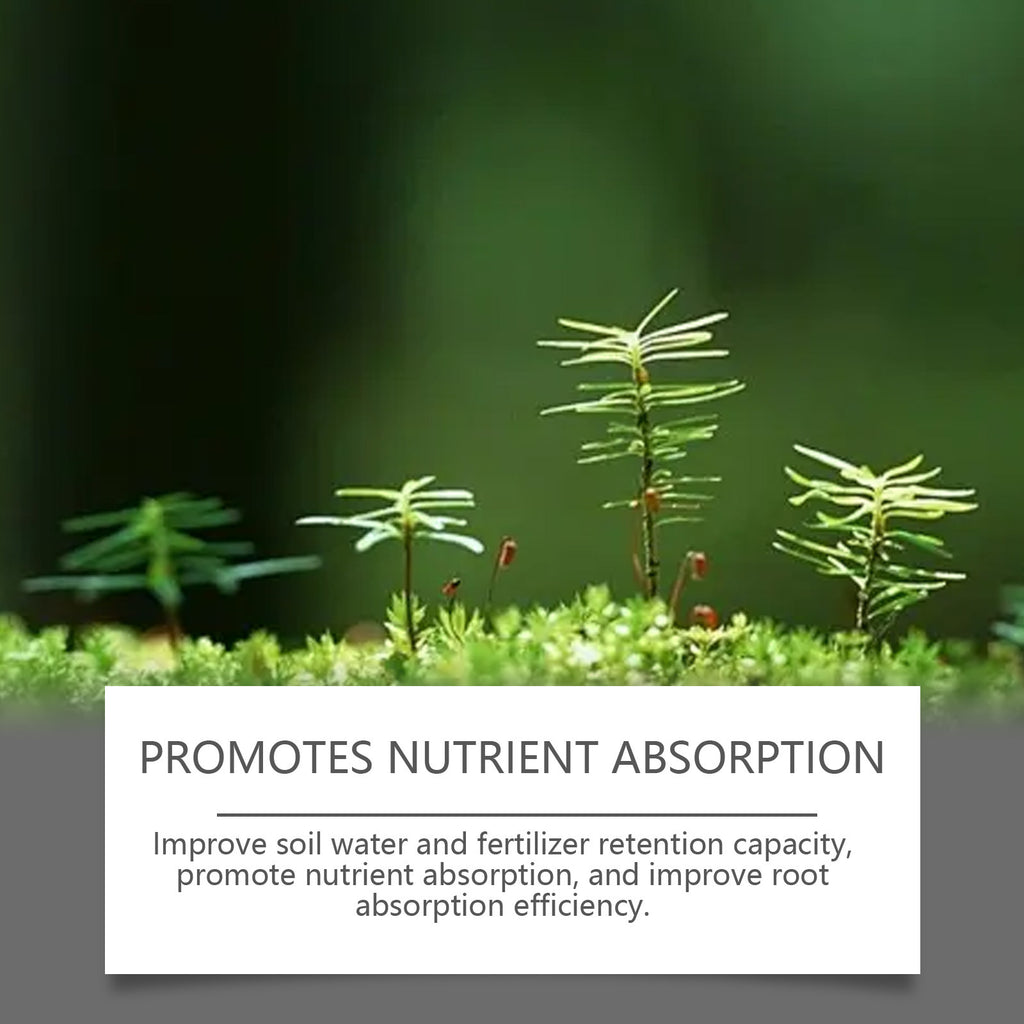 🌱 Universal Plant Root Activator & Soil Conditioner 💪