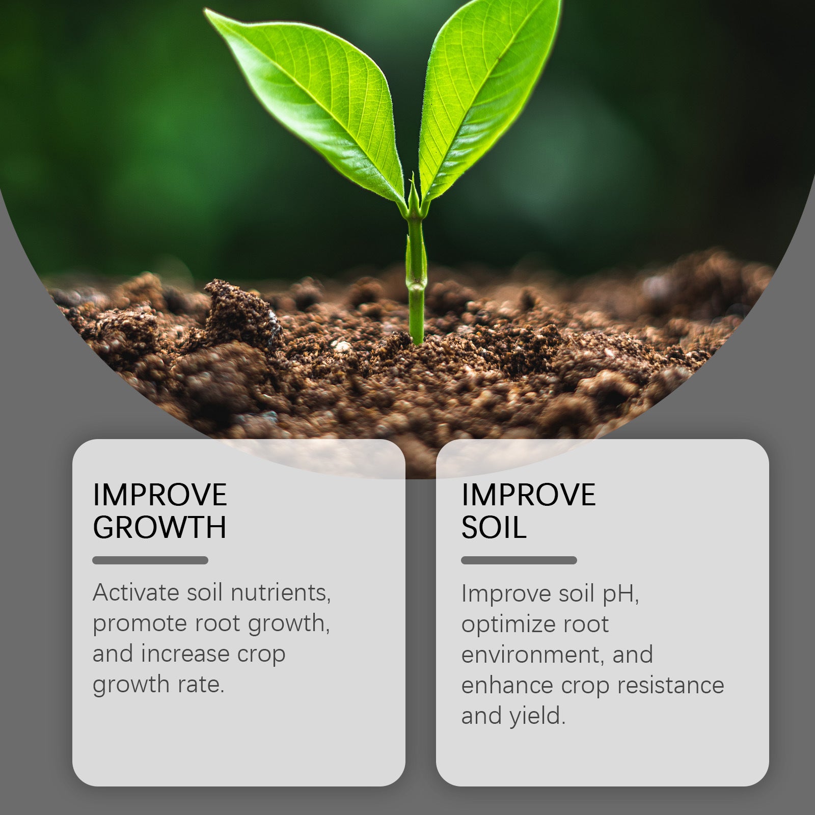 🌱 Universal Plant Root Activator & Soil Conditioner 💪