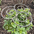⏰2-hour half-price sale🌿Plant Art Flower Support Stand