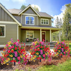 💐Artificial Eucalyptus and Violet Ground-Insert Floral Decoration