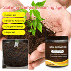 Buy 1 Get 1 Free⚡ Flash Sale🌱 Blooming Soil, Effortlessly Natural – Soil Activator