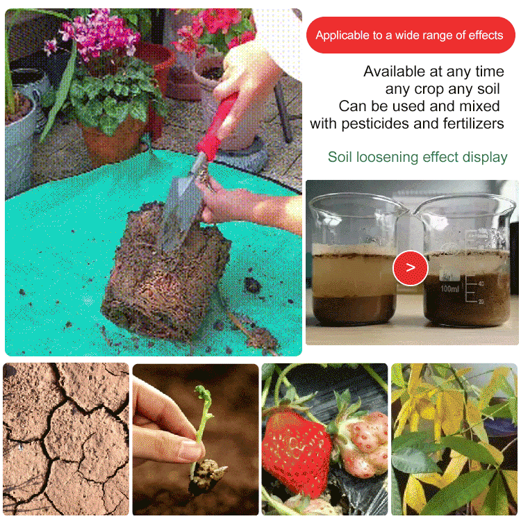 Buy 1 Get 1 Free⚡ Flash Sale🌱 Blooming Soil, Effortlessly Natural – Soil Activator