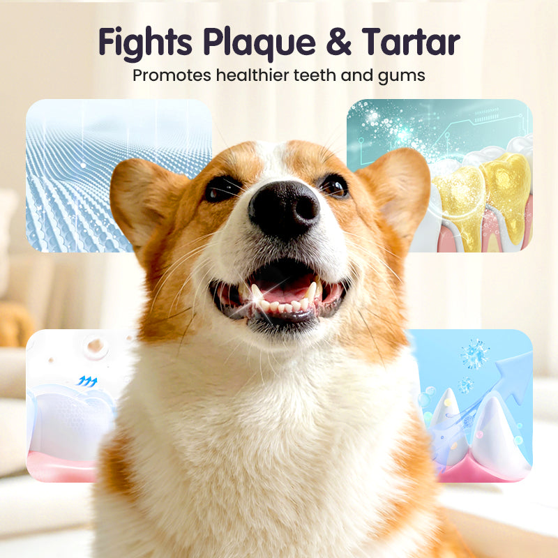 Vandaag tijdelijk💥 koop 2 en krijg 1 gratis 🐾✨Mondverzorging en reinigingsspray voor huisdieren
