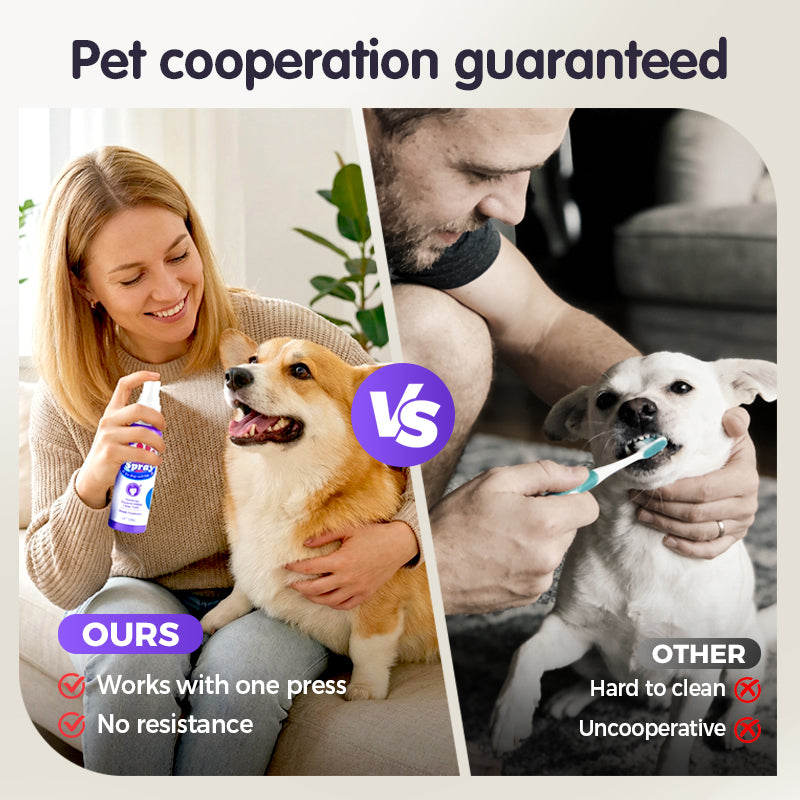 Vandaag tijdelijk💥 koop 2 en krijg 1 gratis 🐾✨Mondverzorging en reinigingsspray voor huisdieren