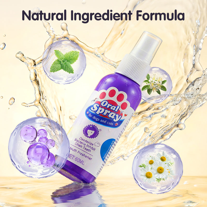 Vandaag tijdelijk💥 koop 2 en krijg 1 gratis 🐾✨Mondverzorging en reinigingsspray voor huisdieren