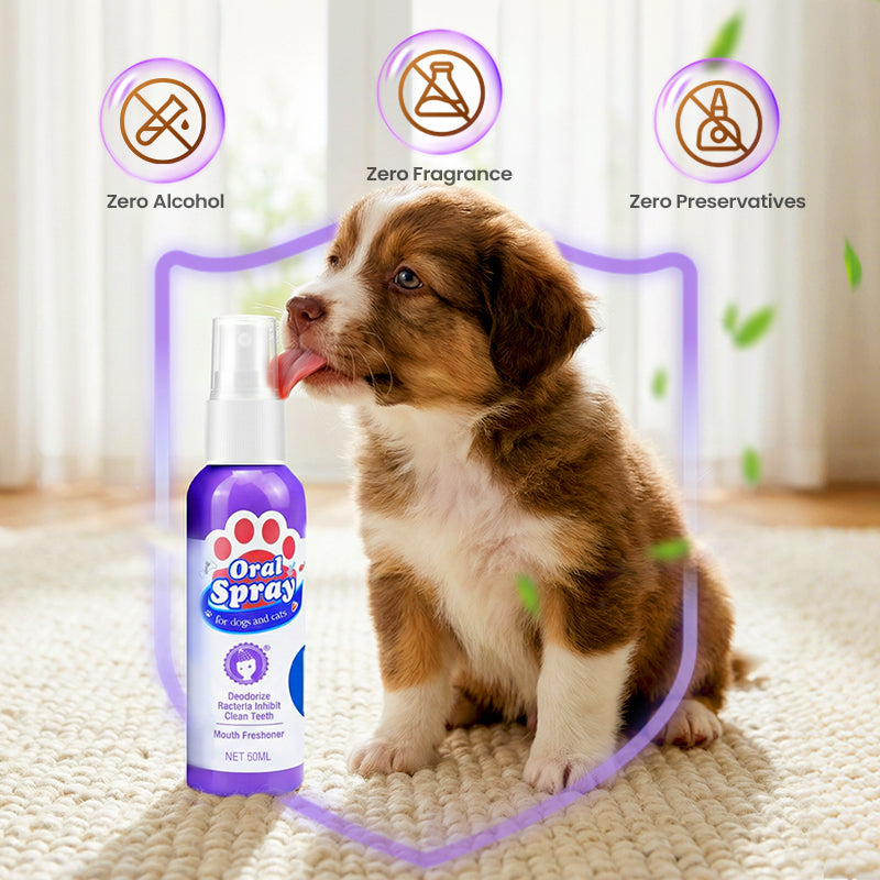 Vandaag tijdelijk💥 koop 2 en krijg 1 gratis 🐾✨Mondverzorging en reinigingsspray voor huisdieren